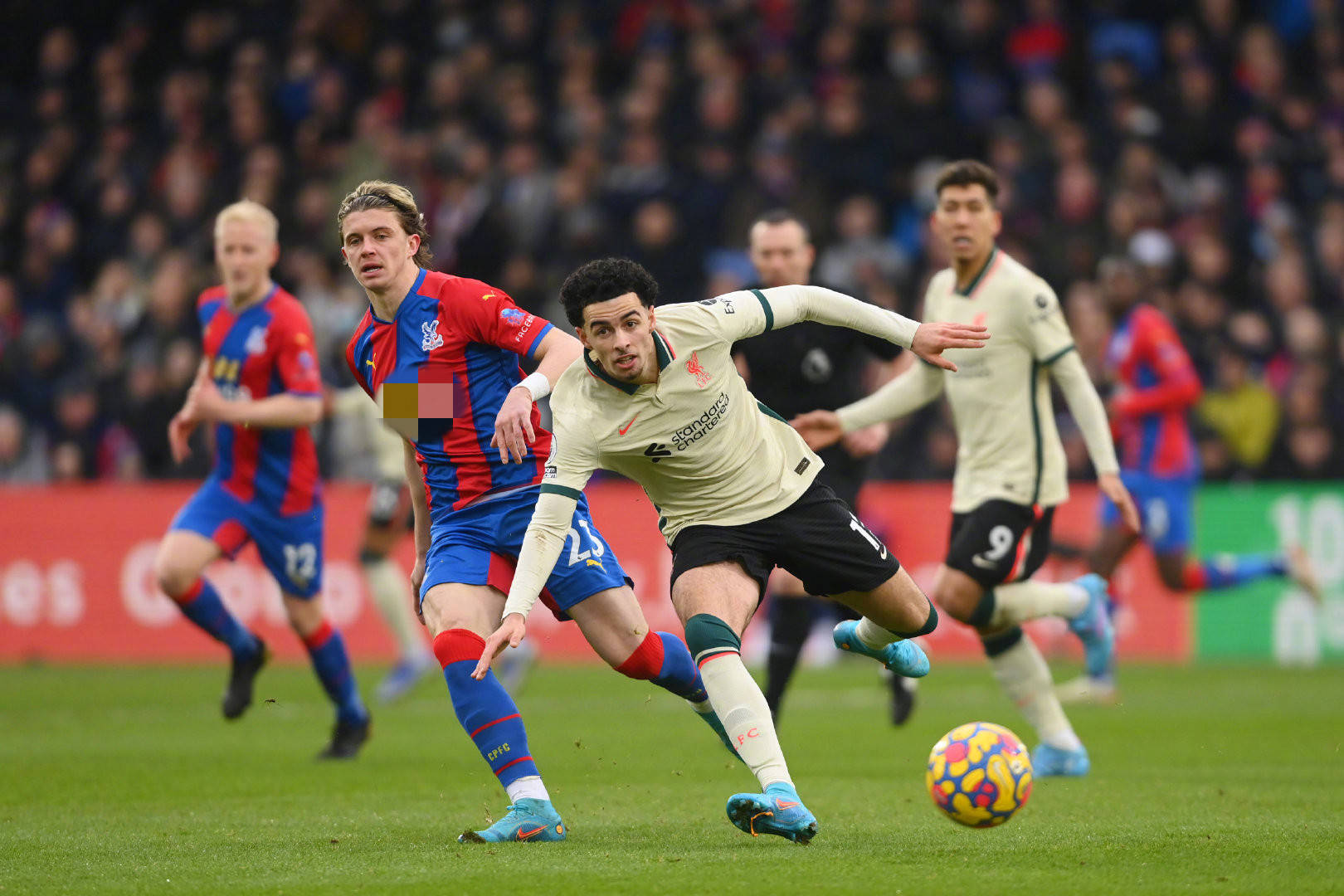 将成为拜仁 将成为拜仁